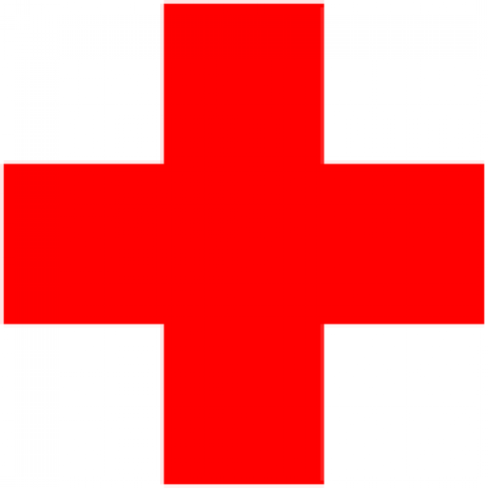 Organization Logo