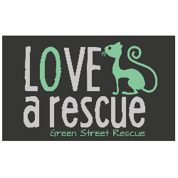 Organization Logo
