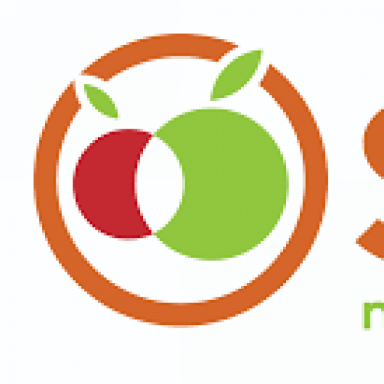 Organization Logo