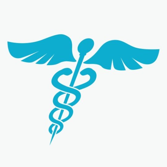 Organization Logo
