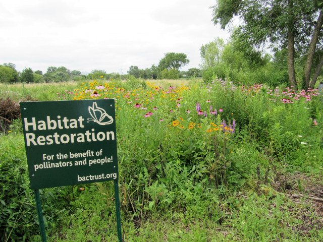 Nonprofit Photo  (159813)