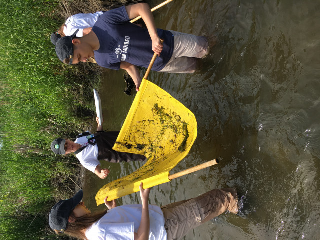 Nonprofit Photo  (159827)