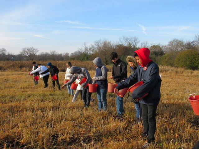 Nonprofit Photo  (159809)