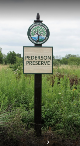 Nonprofit Photo  (159807)