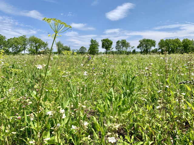 Nonprofit Photo  (159808)