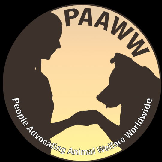 Nonprofit Logo