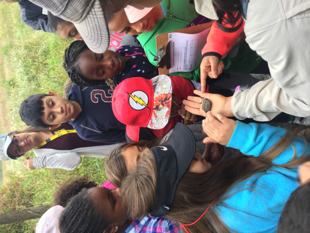 Nonprofit Photo  (159857)