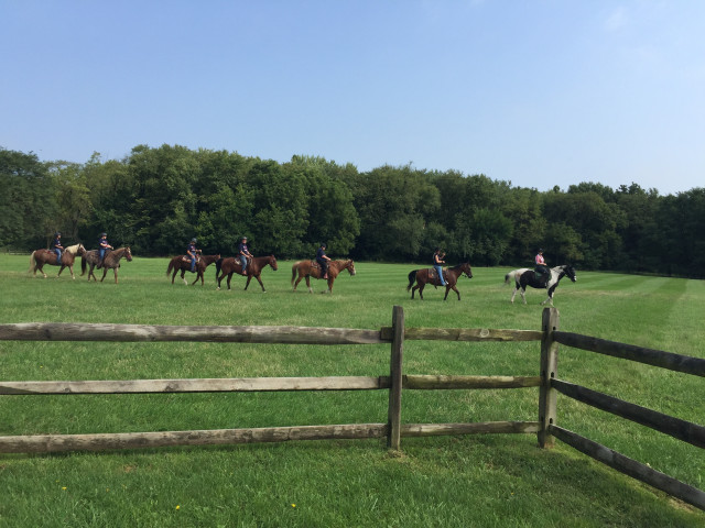 Nonprofit Photo  (159709)