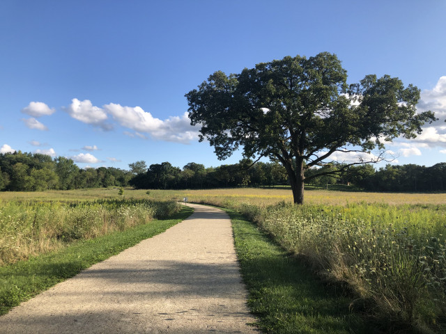 Nonprofit Photo  (161044)