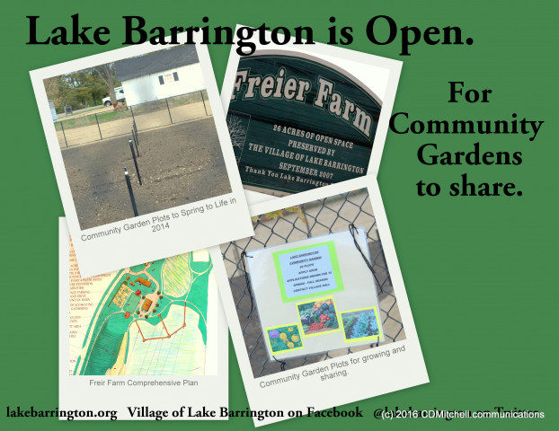 Nonprofit Photo  (161047)