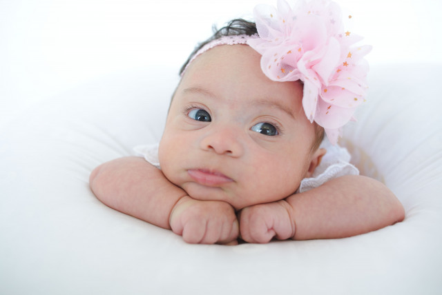 Nonprofit Photo  (165711)