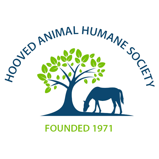 Nonprofit Logo