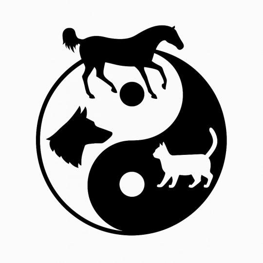 Nonprofit Logo