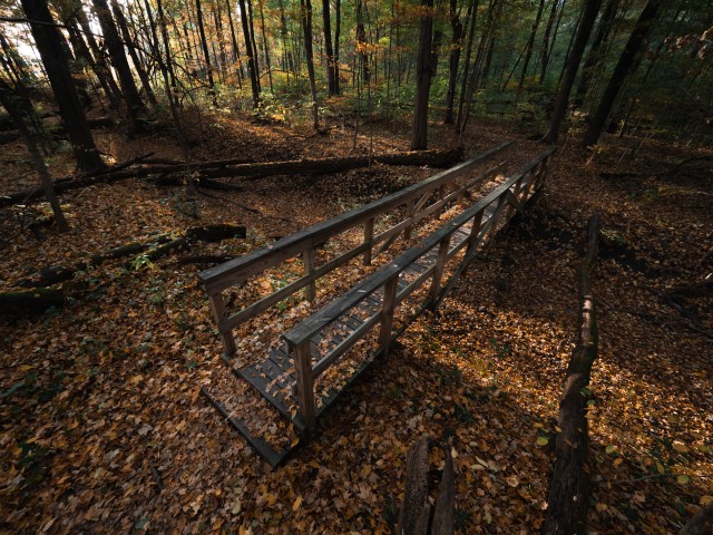 Community Partner Photo  (183361)