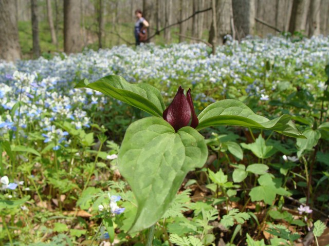 Community Partner Photo  (183362)