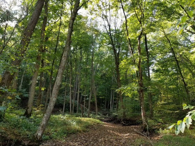 Community Partner Photo  (183359)