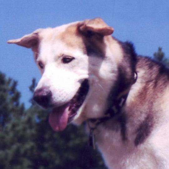 Community Partner Logo