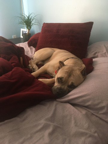 Community Partner Photo  (158696)