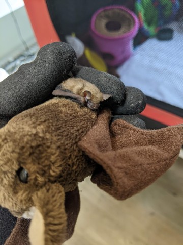 Community Partner Photo  (204139)