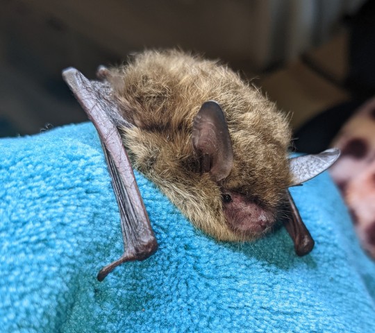 Community Partner Photo  (204144)