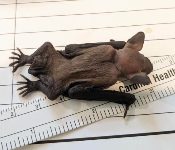 Community Partner Photo  (204140)