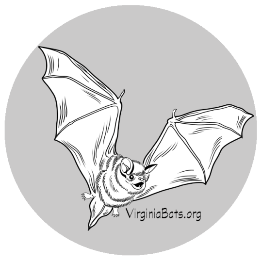 Community Partner Logo