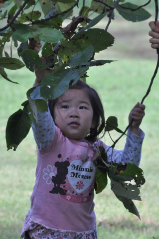 Volunteer Position Photo  (169291)