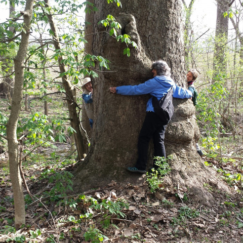 Volunteer Position Photo  (160962)