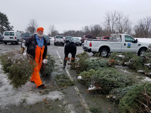 Volunteer Position Photo  (169262)