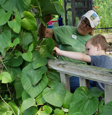 Volunteer Position Photo  (169231)