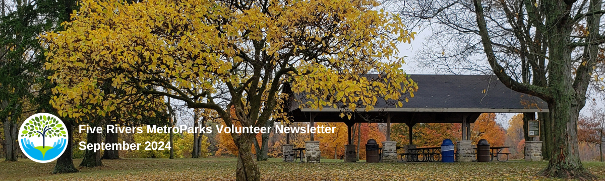 5volunteerblogbannerseptember2024.png