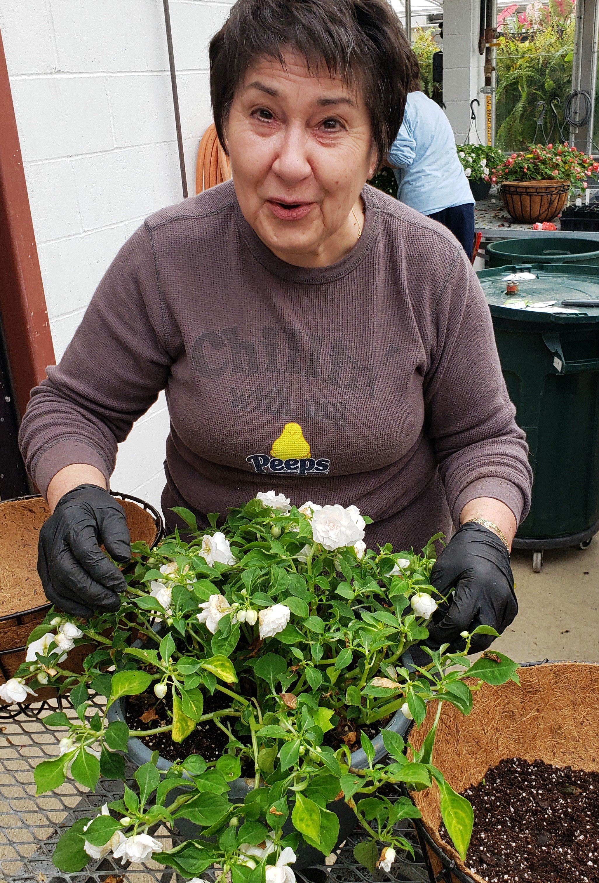 greenhousepropagationteresasanto.jpg