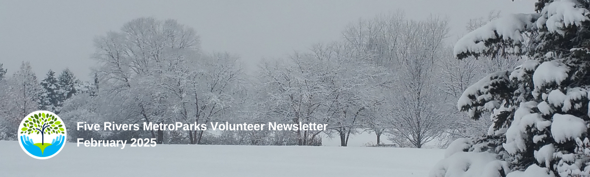volunteerblogbannerfebruary2025.png