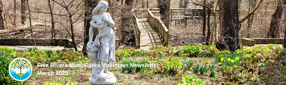 volunteerblogbannermarch2025.png