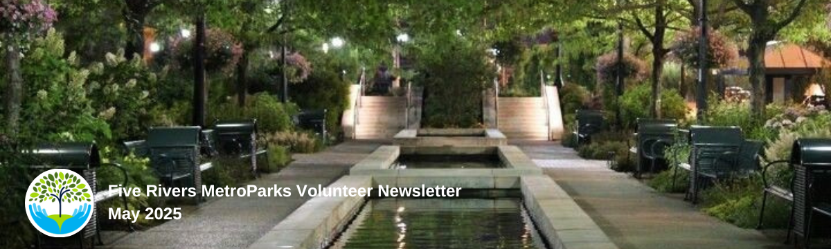 volunteerblogbannermay2025.png