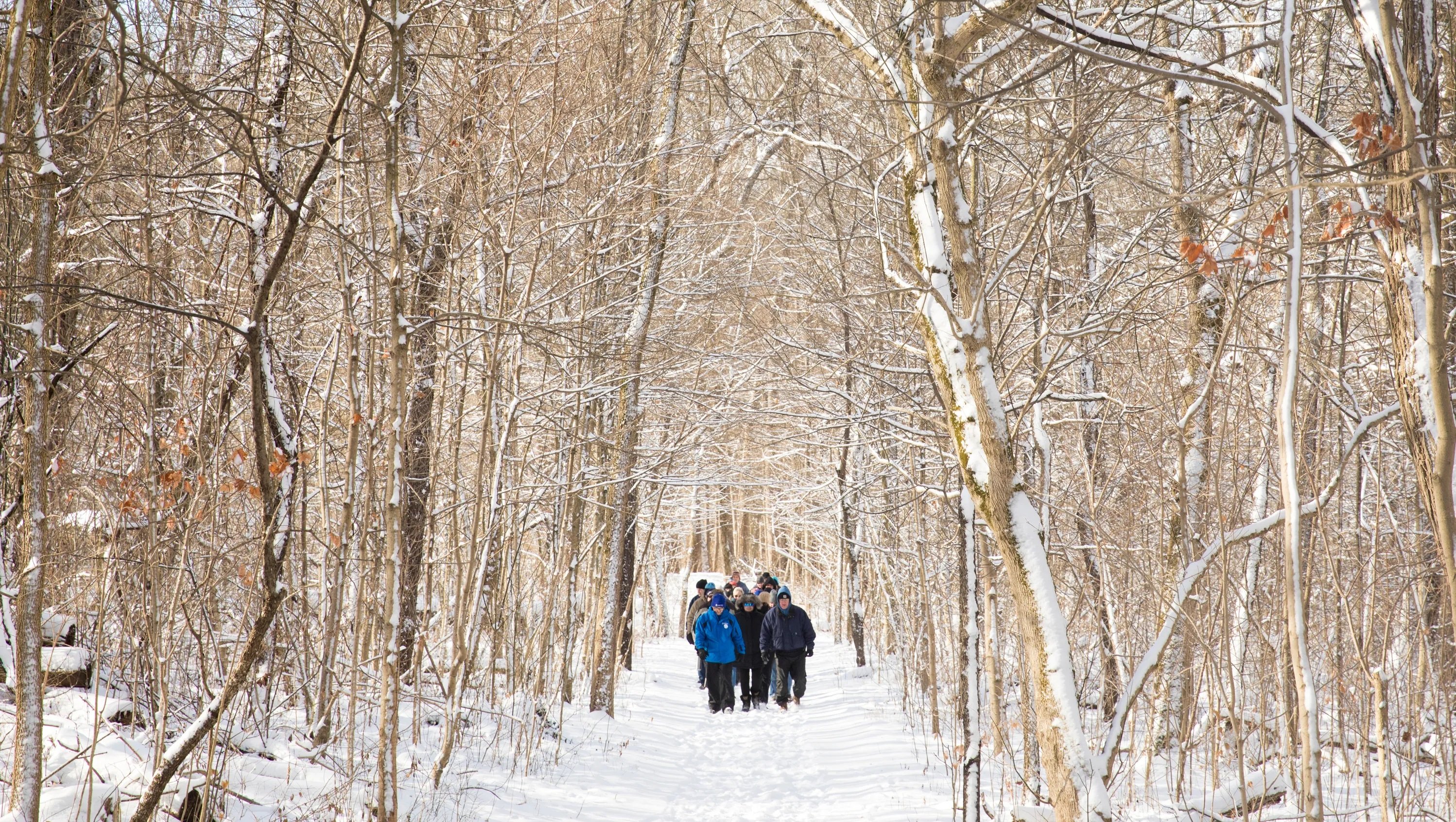 winterhikegroup.jpg