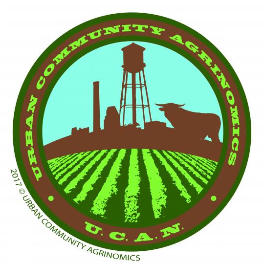 Organization Logo