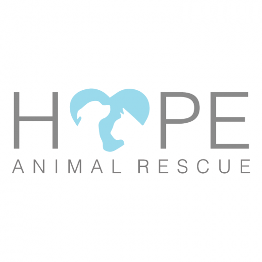 Organization Logo