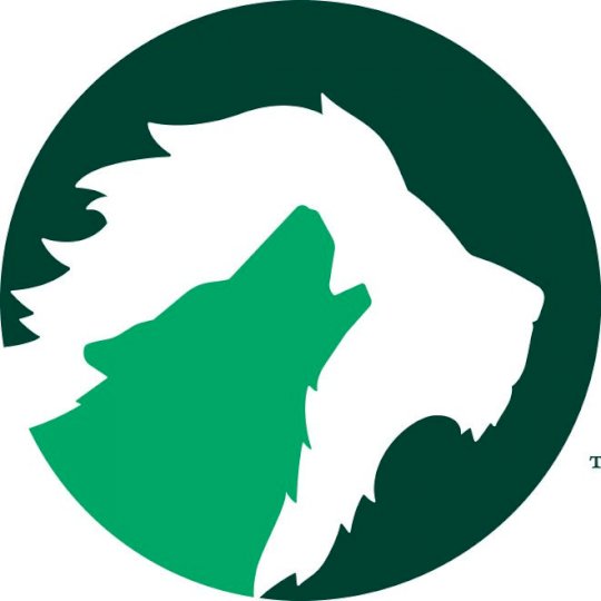 Organization Logo