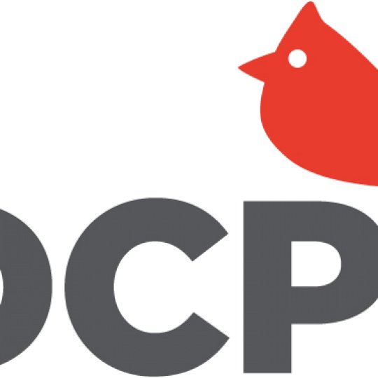 Organization Logo
