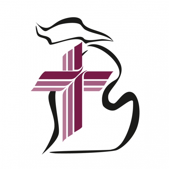 District Logo