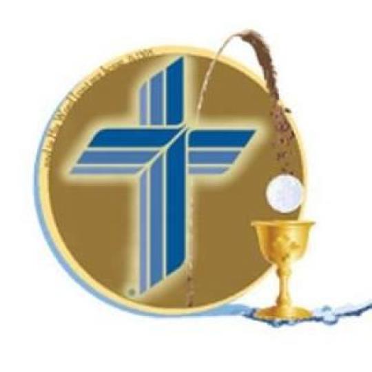 District Logo