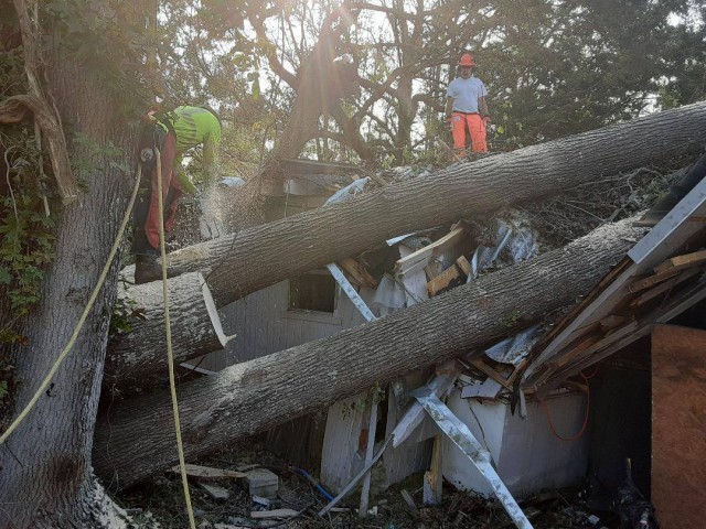 District Photo  (188932)