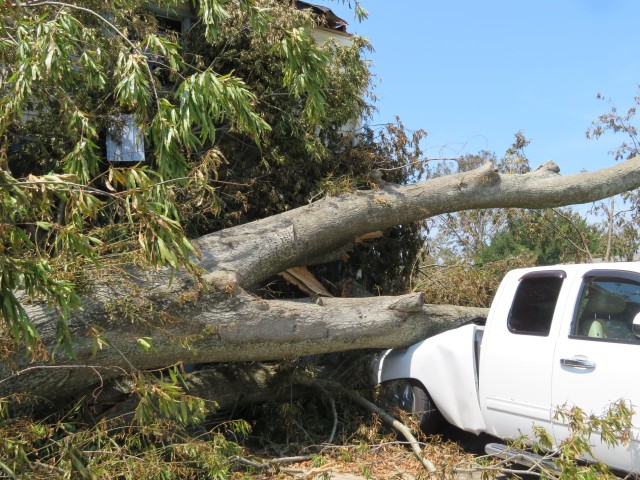 District Photo  (188952)