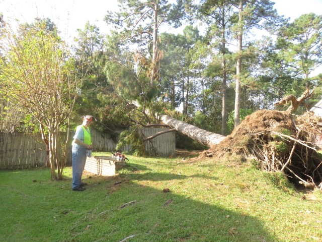 District Photo  (188934)