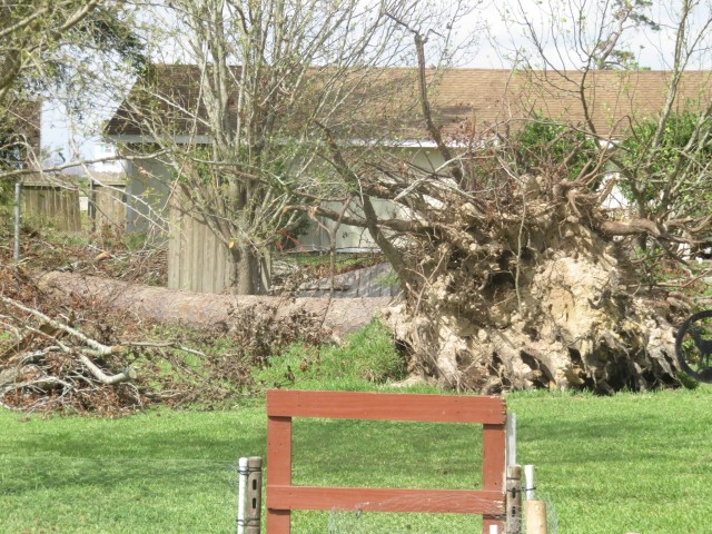 District Photo  (188940)