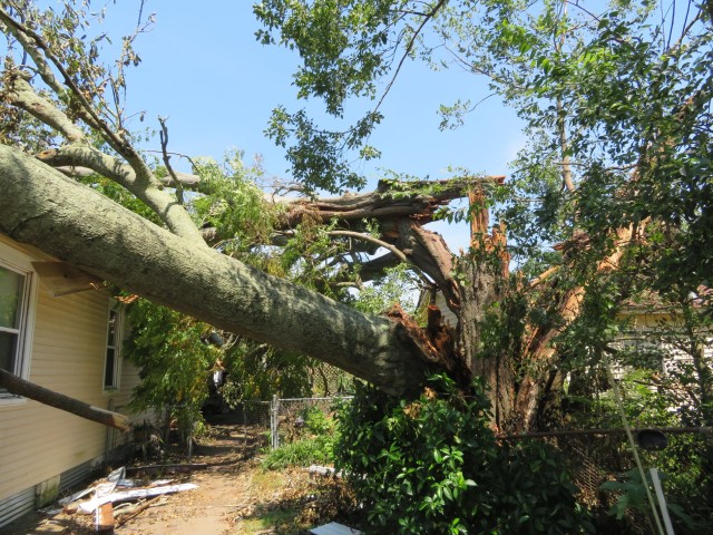 District Photo  (188951)