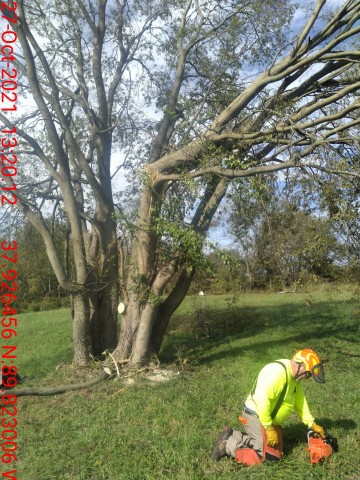 District Photo  (178236)