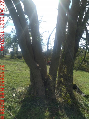 District Photo  (178232)