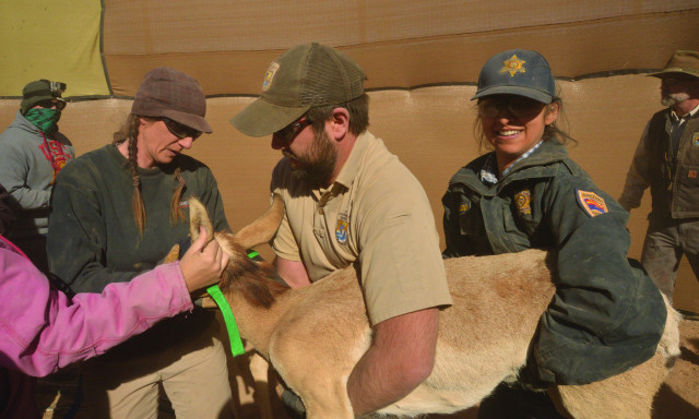 Program Photo  (162052)